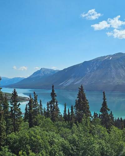 Aljaska krstarenje | divlja ljepota i ledeni fjordovi