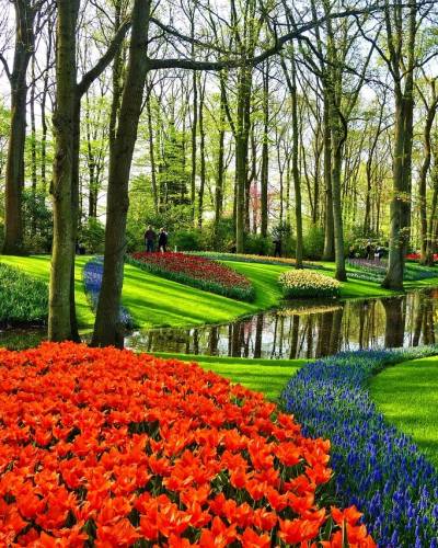 Amsterdam i Keukenhof 4 dana