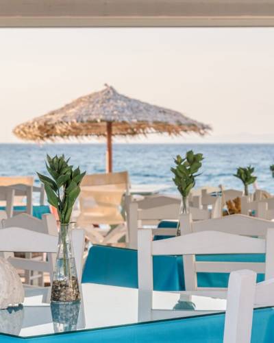 Samos - Hotel Kokkari Beach 3*